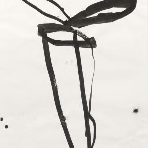 Eduardo Martín del Pozo. WINTERGARTEN, 2012. Tinta china y gouache sobre papel. 100 x 70 cm. EM-0001