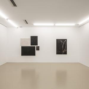 Vista de la exposición en Galería Luis Adelantado, Valencia, diciembre 2021 - marzo 2022.