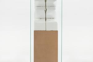 CM-0022