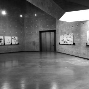 Vista de la exposición "Conceptual Andalusia: Liturgia del río y el pájaro". C3A. Centro de Creación Contemporánea de Andalucía, Córdoba, octubre 2020.