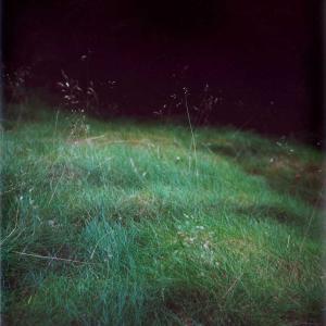 #6 UNTITLED (Singing Grass), FOREST 2000-2005, 2004. C-Print. 26.7 x 17.8 cm (49 x 37 cm enmarcada) Edicion 6/8. JHA-0006