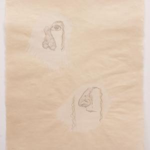 


BIG NOSE, 2019. Gouache y grafito sobre papel japonés. 52 x 42.5 cm. JH-0035


