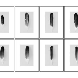 Dos manos y dos plumas, 2022. Impresión de tintas pigmentadas sobre papel Canson Infinity Rag Photographique 310 g / m2. Edición 1/3  + 2 PA. JJ-0166