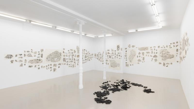Pieles del Ártico, 2025. Frottage sobre papel Gampi. Instalación de 315 frottages