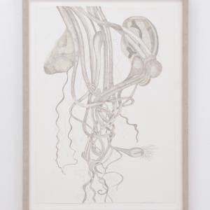 Selft portrait with green nose and ear, 2021.&nbsp;Punta de plata y mixta sobre papel. 73 x 54 cm (enmarcada) / 64 x 45 cm. JH-0169