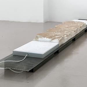 Naturalizaci&oacute;n t&eacute;cnica, 2026. Escayola de alta resistencia, metal y caja de luz. 22 x 50 x 401 cm. RS-0019